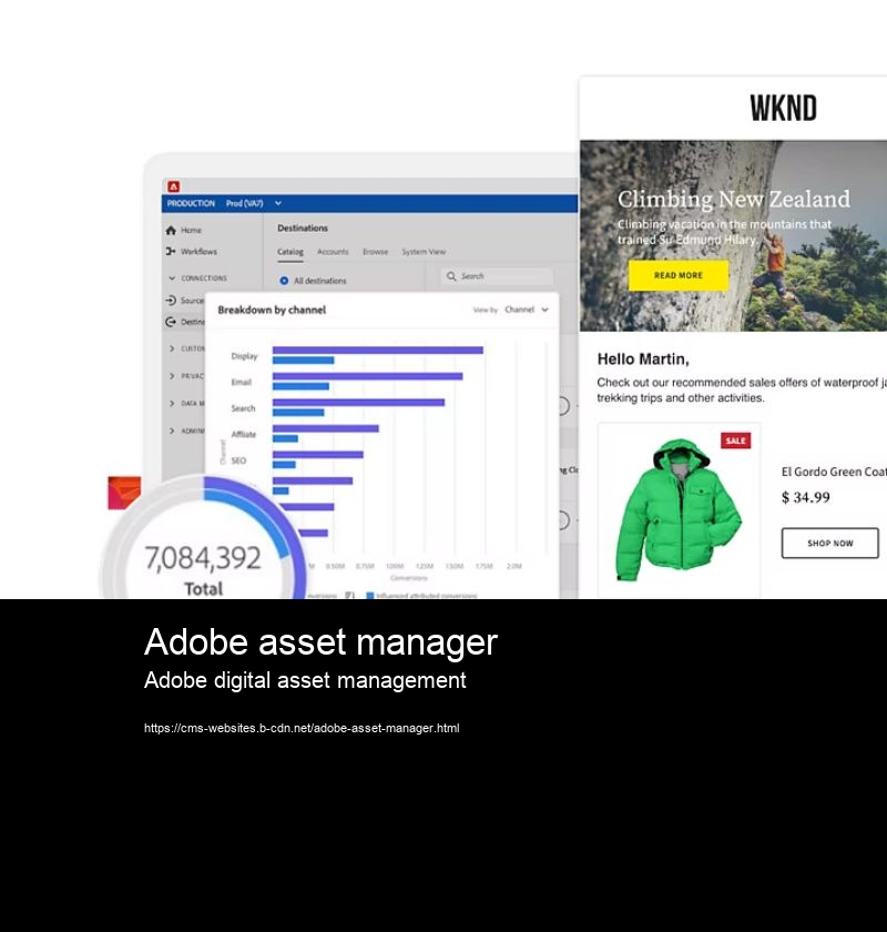 Adobe asset manager Adobe digital asset management What are the cost considerations for Adobe Experience Manager?