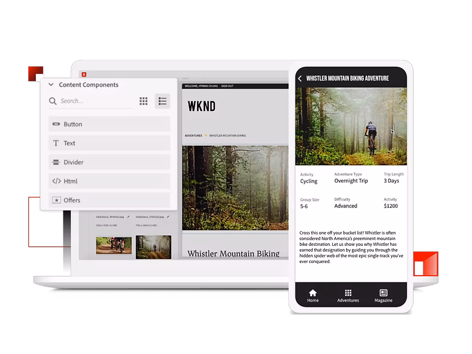 Can you provide some examples of CMS systems?